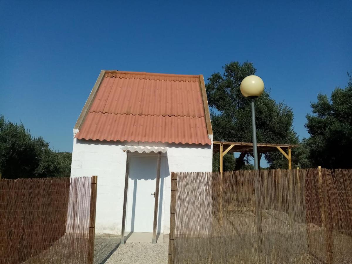 里巴露营地-罗亚 Riba-roja d'Ebre 外观 照片