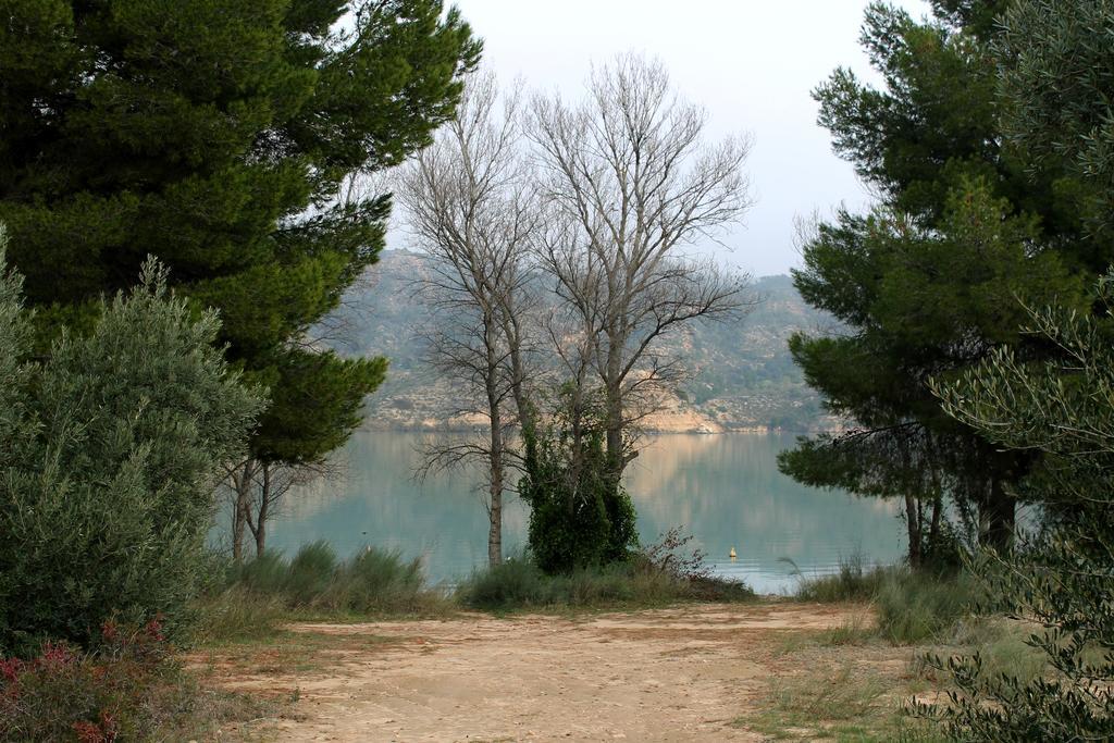 里巴露营地-罗亚 Riba-roja d'Ebre 客房 照片